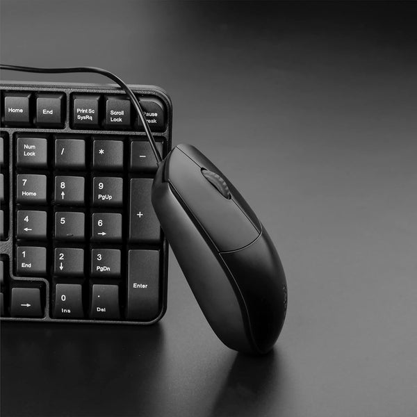 Rapoo Black N100 Wired Optical Mouse