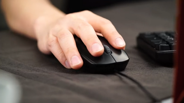Rapoo Black N100 Wired Optical Mouse