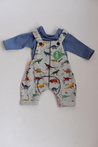 Next Dinosaur Two Piece Set - Stockpoint Apparel Outlet